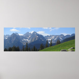 Rusinowa meadow Tatras Poster