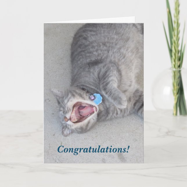 Russ The Cat Congratulations Card (Front)