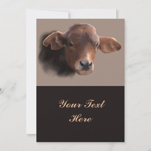 Russet Brown Cow Portrait (Front)