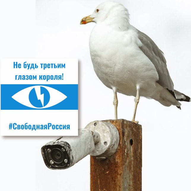 Russia Free Democratic Russian - Third Eye (Russia Free Democratic Russian - Third Eye Sticker by The Social Observatory Shop)