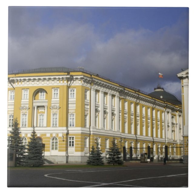 Russia, Moscow, Kremlin, Senate Palace, Tile (Front)
