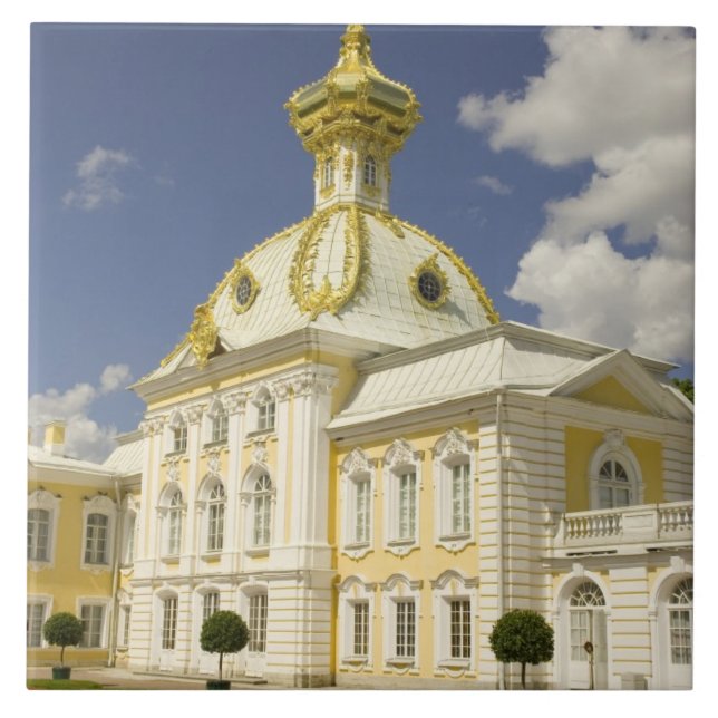 Russia. Petrodvorets. Peterhof Palace. Peter the 5 Tile (Front)
