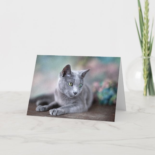 Russian Blue Card (Front)