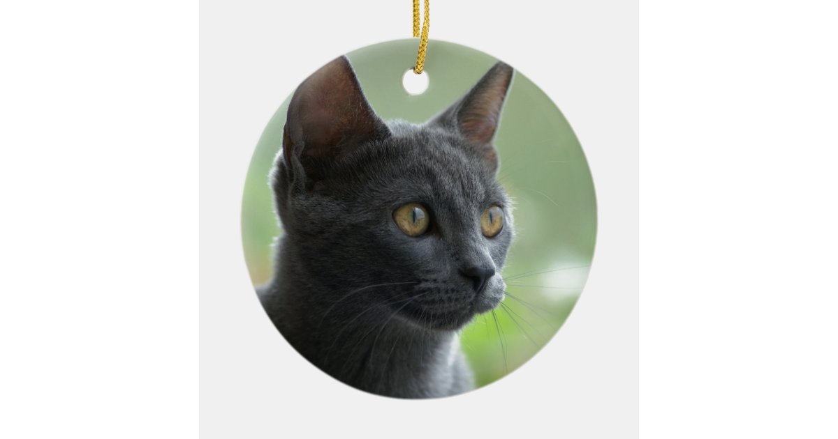 Russian Blue Cat Christmas Ornament | Zazzle.co.uk