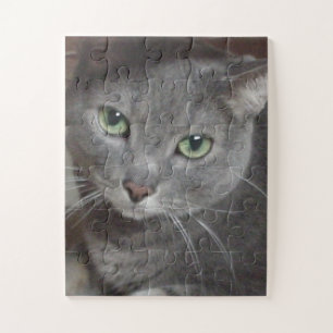Russian Blue Cat Jigsaw Puzzle