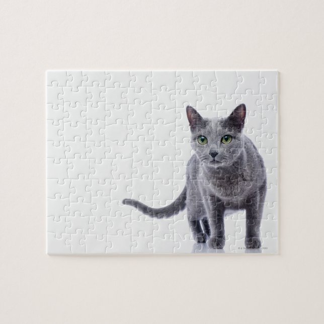 Russian Blue Cat Jigsaw Puzzle (Horizontal)