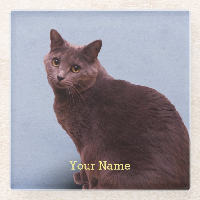 Russian Blue Cat Looking Glass Coaster (Front)