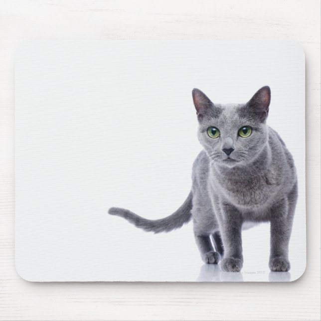 Russian Blue Cat Mouse Mat (Front)