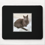 Russian Blue Cat Mousepad<br><div class="desc">A great talking point in any office. A practical mousepad,  featuring a Russian Blue cat.
A must for all Cat lovers!</div>