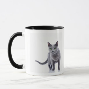 Russian Blue Cat Mug