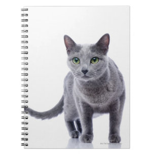 Russian Blue Cat Notebook