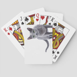 Russian Blue Cat Playing Cards