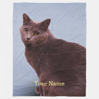 Russian Blue Cat Staring Fleece Blanket