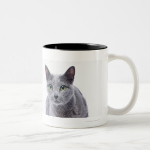 Russian Blue Cat Two-Tone Coffee Mug