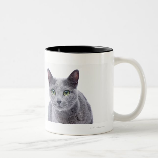 Russian Blue Cat Two-Tone Coffee Mug (Right)