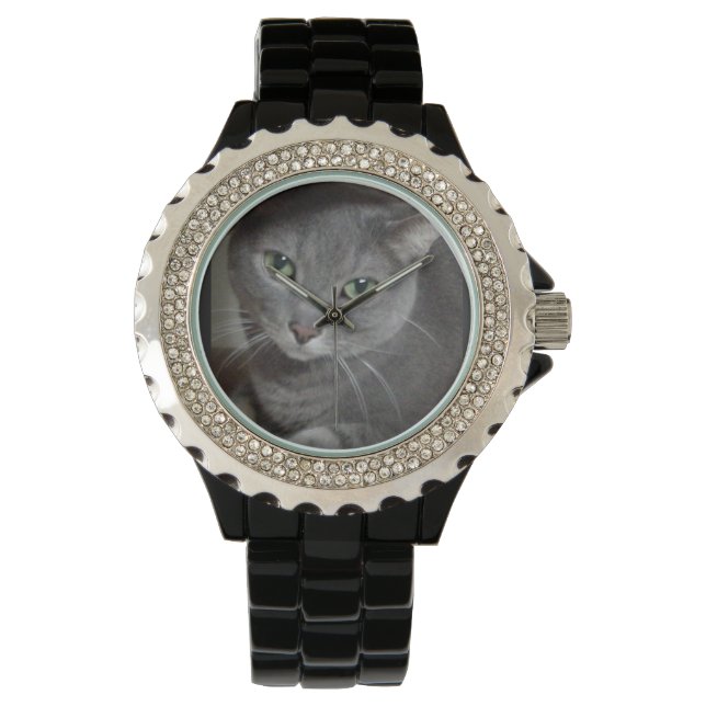 Russian Blue Cat Watch (Front)