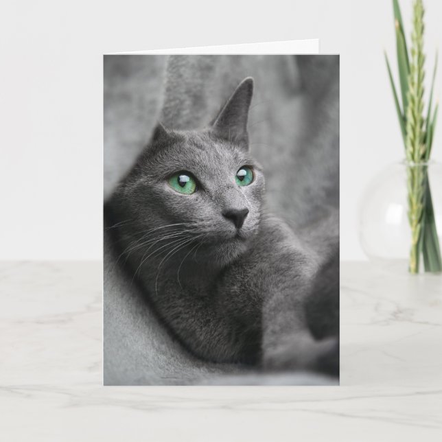 Russian-blue-cat-with green eyes card (Front)