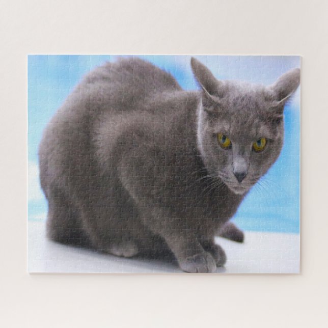 Russian Blue Cats. Jigsaw Puzzle (Horizontal)