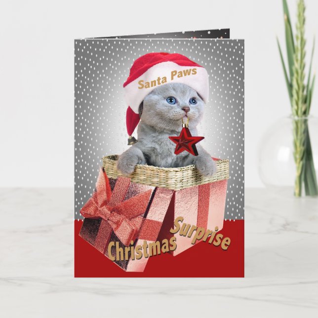 Russian Blue Christmas Surprise cards (Front)