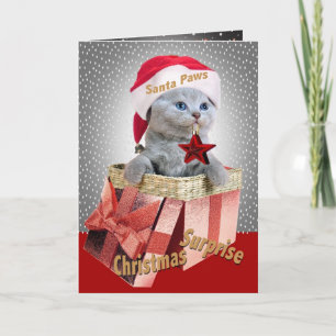 Russian Blue Christmas Surprise cards
