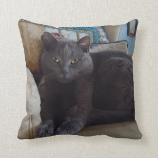 Russian Blue Cushion