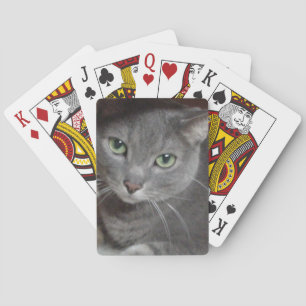 Russian Blue Gray Cat Playing Cards