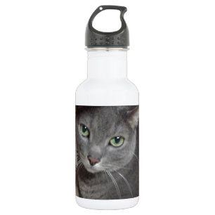 Russian Blue Grey Cat 532 Ml Water Bottle