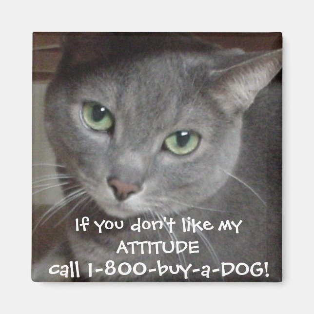 Russian Blue Grey Cat Attitude Humour Magnet (Front)