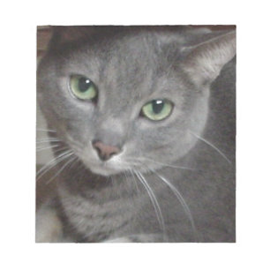 Russian Blue Grey Cat Notepad