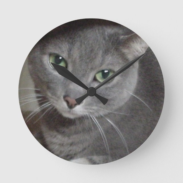 Russian Blue Grey Cat Round Clock (Front)