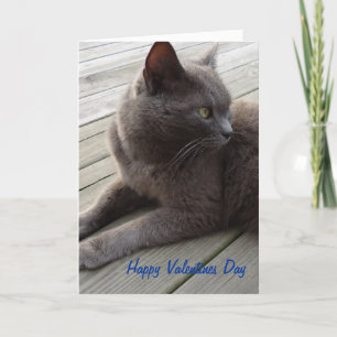 Russian Blue Holiday Card