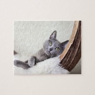 Russian Blue Jigsaw Puzzle