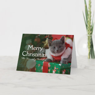 Russian Blue Kitten and Christmas Holiday Card
