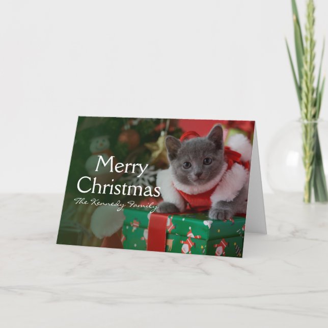 Russian Blue Kitten and Christmas Holiday Card (Front)