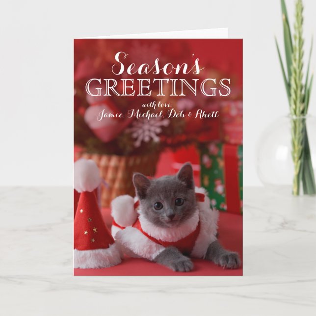 Russian Blue Kitten and Christmas Holiday Card (Front)