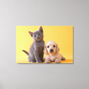 Russian Blue Kitten And Dachshund Puppy Canvas Print