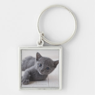 Russian Blue Kitten Key Ring