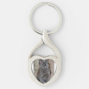 russian blue kitten key ring