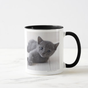 Russian Blue Kitten Mug