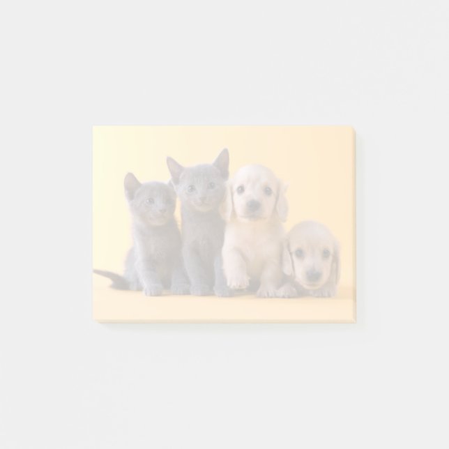 Russian Blue Kittens And Dachshund Puppies Post-it Notes (Front)