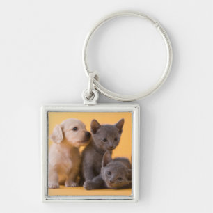 Russian Blue Kittens & Dachshund Puppies Key Ring