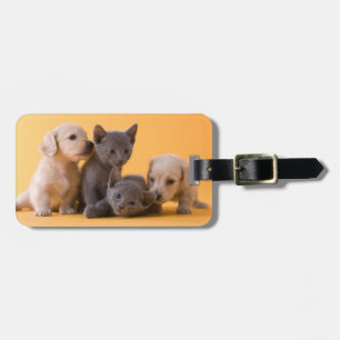 Russian Blue Kittens & Dachshund Puppies Luggage Tag