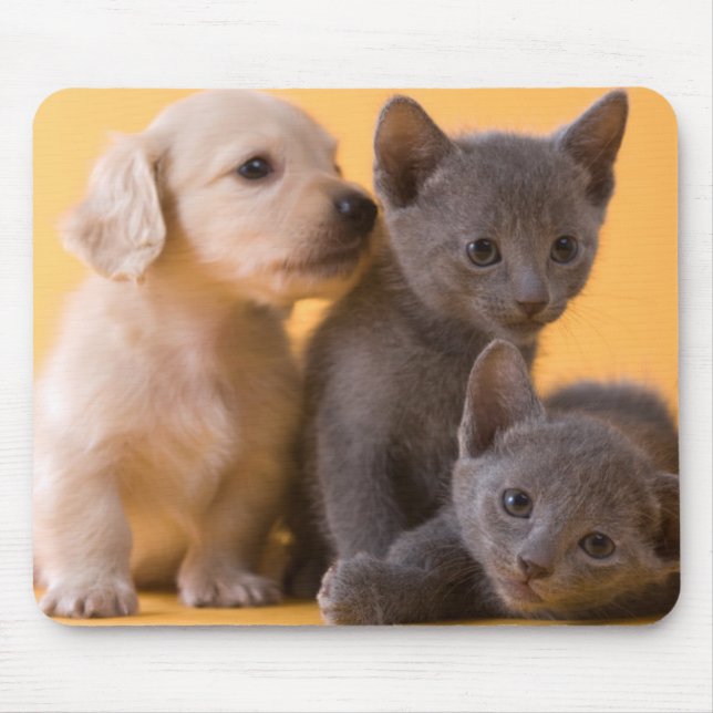 Russian Blue Kittens & Dachshund Puppies Mouse Mat (Front)