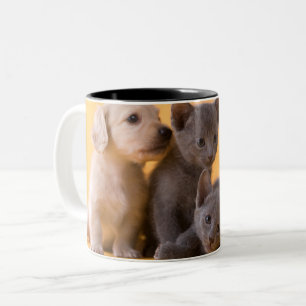 Russian Blue Kittens & Dachshund Puppies Two-Tone Coffee Mug