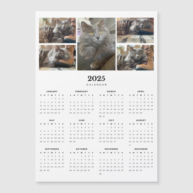 Russian Blue Nebelung Cat Magnetic 2025 Calendar  (Front)