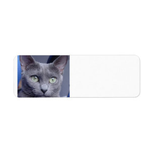 russian-blue.png