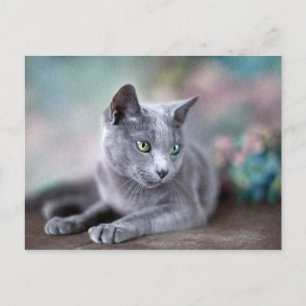 Russian Blue Postcard