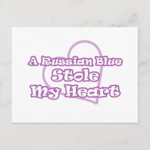 Russian Blue Stole My Heart Postcard
