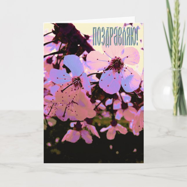 Russian Congratulation card with Cherry Flowers (Front)