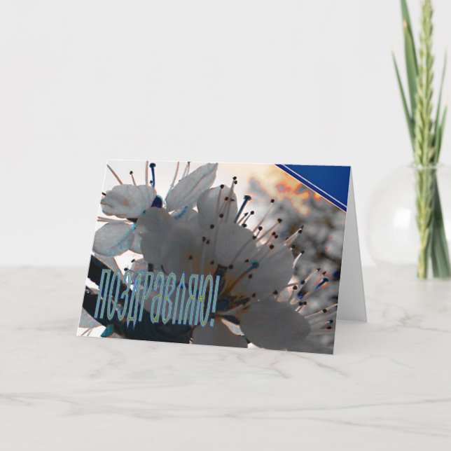 Russian Congratulation card with Cherry Flowers (Front)